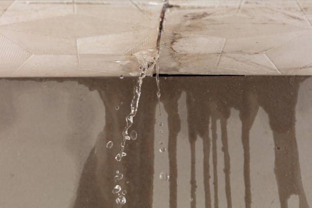 Professional Sewage Cleanup technician working in New Florence, MO